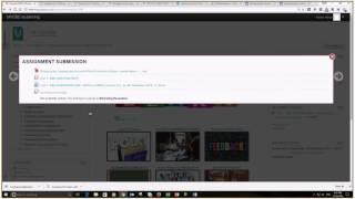 Guidance for Assignment Submissions with Multiple Files