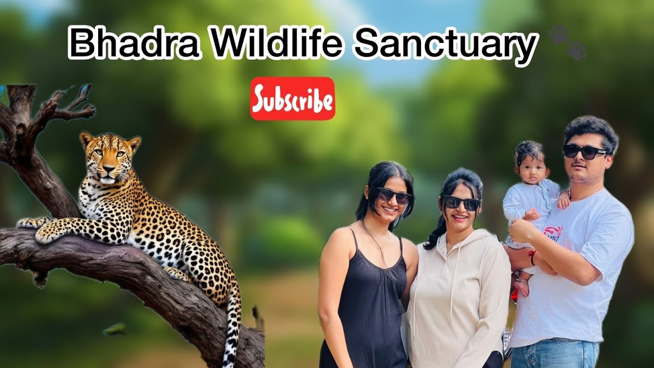 Best Jungle Safari Tour🐯| Bhadra Wildlife Sanctuary🐘#youtubeshorts ...