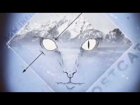 Guarda GhostCat- All In su YouTube