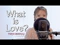 【歌ってみた】TWICE(트와이스) - “What is Love?"/ Cover by 実谷なな