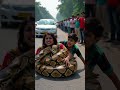 Python Attacks Woman On Beach Road Giant Snake Wraps Around Her Body Real Snake Attack 2025 mp3