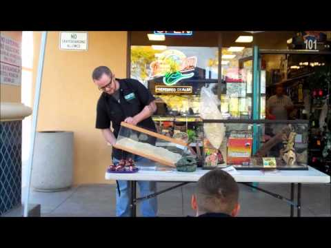 workshop cafe Leopard Gecko Cage Workshop