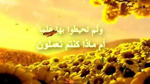 سورة النمل للشيخ  قاسم محمد فضائل