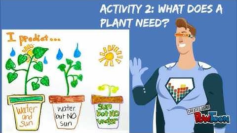 An example of inquiry based learning