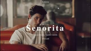 Señorita【slowed】/Shawn Mendes, Camila Cabello/