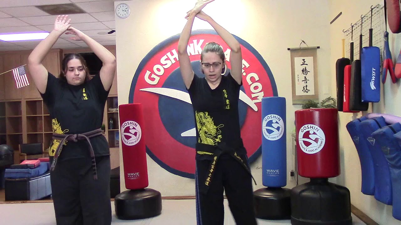 Goshin Karate Online 1668 Martial Arts North Phoenix YouTube