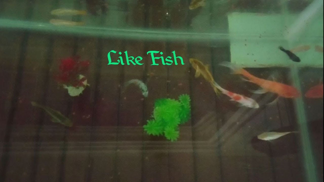 Neang Cham - YouTube