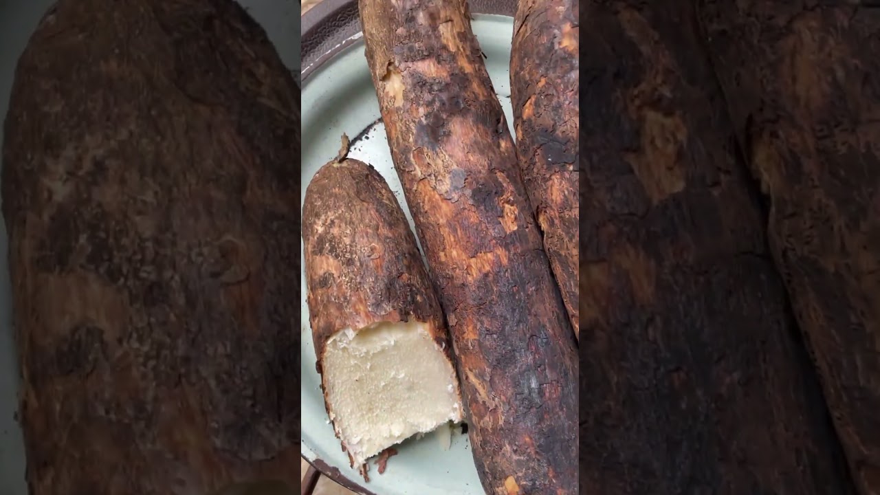 Happy New Yam festival Celebration 