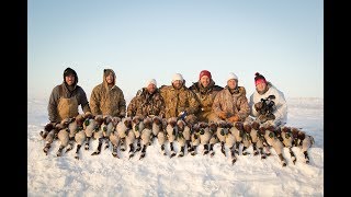 North Dakota Blizzard Pheasants & Fowl | The Flush - Season 8, Episode 11