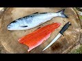 How to Fillet Salmon! Detailed Step-By-Step {NO Gutting Required}