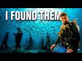 Diving the World’s Coolest Museum! (Aoki Worldwide)