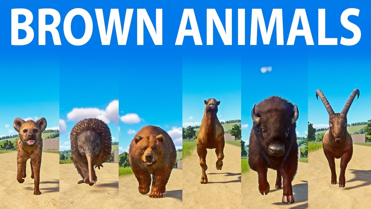 Brown Animals Speed Races In Planet Zoo Included Camel Bear Kiwi brown-animals-speed-races-in-planet-zoo-included-camel-bear-kiwi
