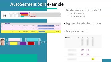 [Webinar] AutoSegment Split - GEDmatch