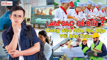 THPT 2023 - Làm sao để biết công việc nào phù hợp với bản thân - Dạy học nấu ăn Netspace