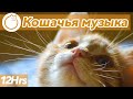 Кошачья музыка - Успокаивающие колыбельные от кошачьего беспокойства (Быстрая работа) 🐱💤