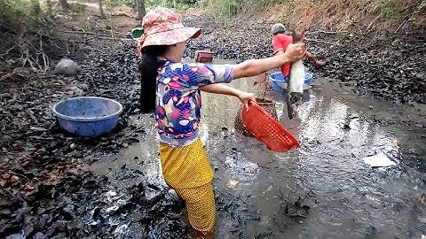Tát ao ăn tết - tát ao trúng đậm/ slap the fish pond early in the year hit big