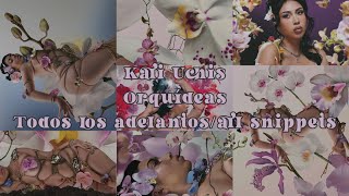 Todos los snippets de Orquídeas (hasta ahora)