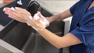 Anatomical Surgical Hand Scrub