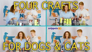 Four Easy, Affordable Crafts For Your Pet! by Stand For Animals 33 views 4 years ago 4 minutes, 58 seconds