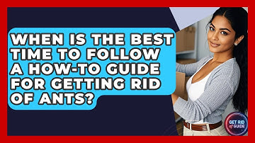 When Is the Best Time to Follow a How-To Guide for Getting Rid of Ants? | Get Rid Of Guide
