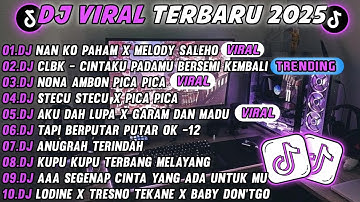 DJ TIKTOK TERBARU 2025-🎵 DJ NAN KO PAHAM X MELODY SALEHO 🎵 DJ STECU STECU SETELAN CUEK FULL ALBUM