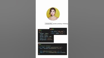 Create an Image preview   with javascript when a user uploads an image, this can be useful for user