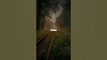 سورة طه | الآية 47