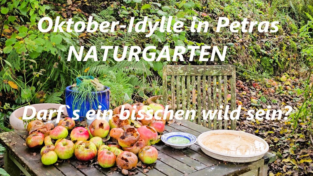 Oktober-Idylle in Petras wildem Naturgarten in Oberbayern