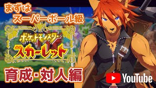 【ポケモンSV】対人とPT育成！！【箱 庭師/VTuber】