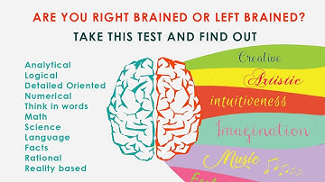 Are you right brained or left brained? Take this brain dominance test and find out!