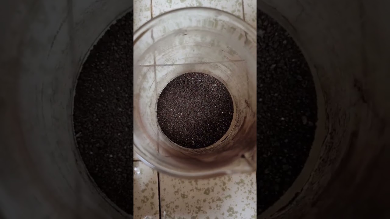 Red Sulfur Alchemy ਲਾਲ ਗੰਧਕ ਅਲਕੀਮਿਸਟLāla gadhaka alakīmisaṭa