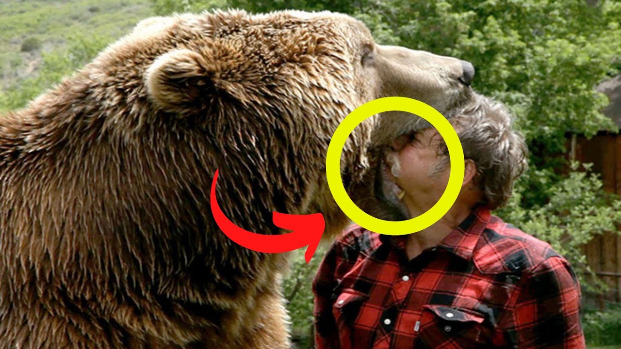 THE CRAZIEST ANIMAL ENCOUNTERS OF ALL TIME - YouTube
