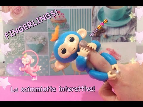 scimmietta fingerlings