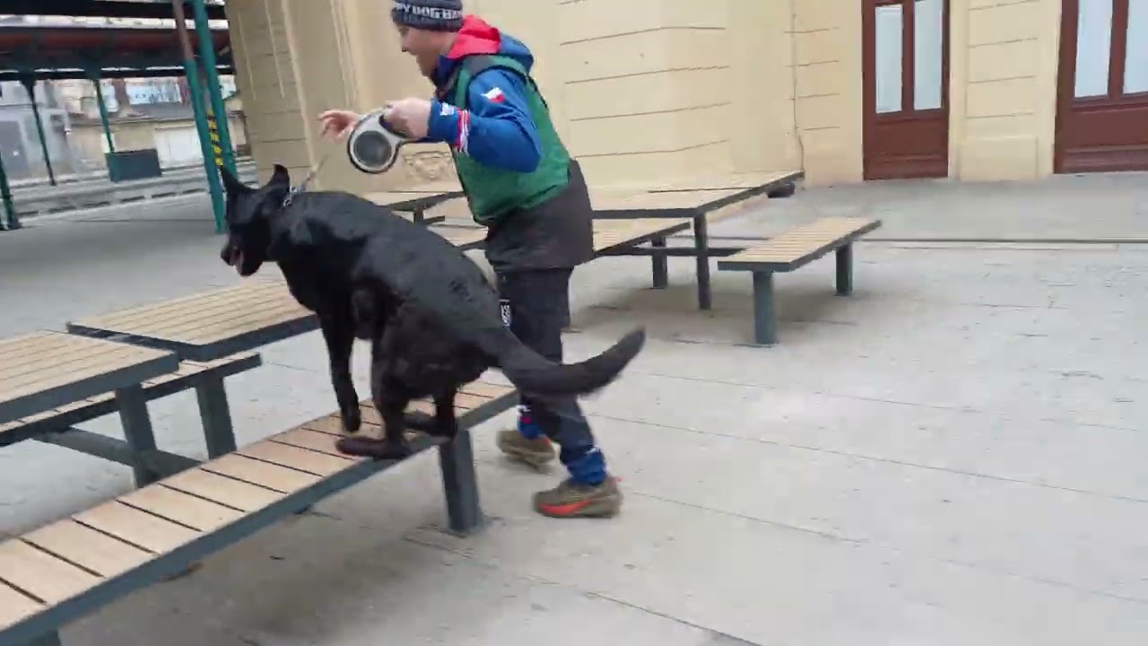 Aggi Schlosshof Slovakia