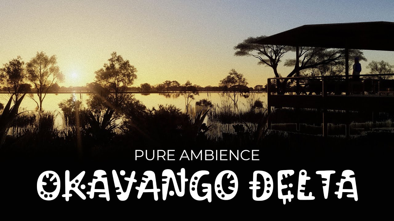 SWS Okavango delta - ASMR