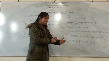 B.com 3rd year Auditing (Interim audit)