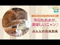 みんなの投稿動画　クリタック／猫用浄軟水器 にゃんたま