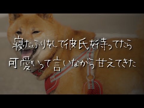 【女性向け】年上犬系彼氏の帰りを寝たふりして待っていたら気づかずにたくさん可愛いと言われる【シチュエーションボイス/睡眠導入/ロールプレイ/嫉妬/溺愛/方言】 #asmr