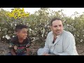 عمر كان بيصيف من اسبوع عمر كان بيصيف من اسبوع