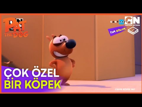 Cesur Köpek Pat | Çok Özel Bir Köpek | ÖZEL TAM BÖLÜM