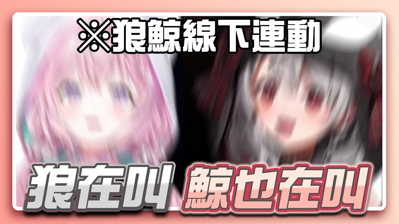 (耳膜破壞)狼鯨久違線下連動玩「超級舞動 瓦利歐製造」【沙花叉クロヱ】【hololive精華】