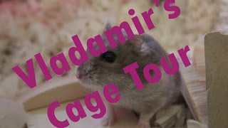 Vladamirs Cage Tour