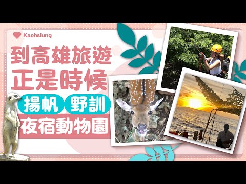 【玩FUN飯】到高雄旅遊正是時候  揚帆 野訓 夜宿動物園