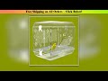 Transparent Bird Cage Parrot Cage Acrylic Birdcage Bird Accessories Large Nest for Birds Calopsita