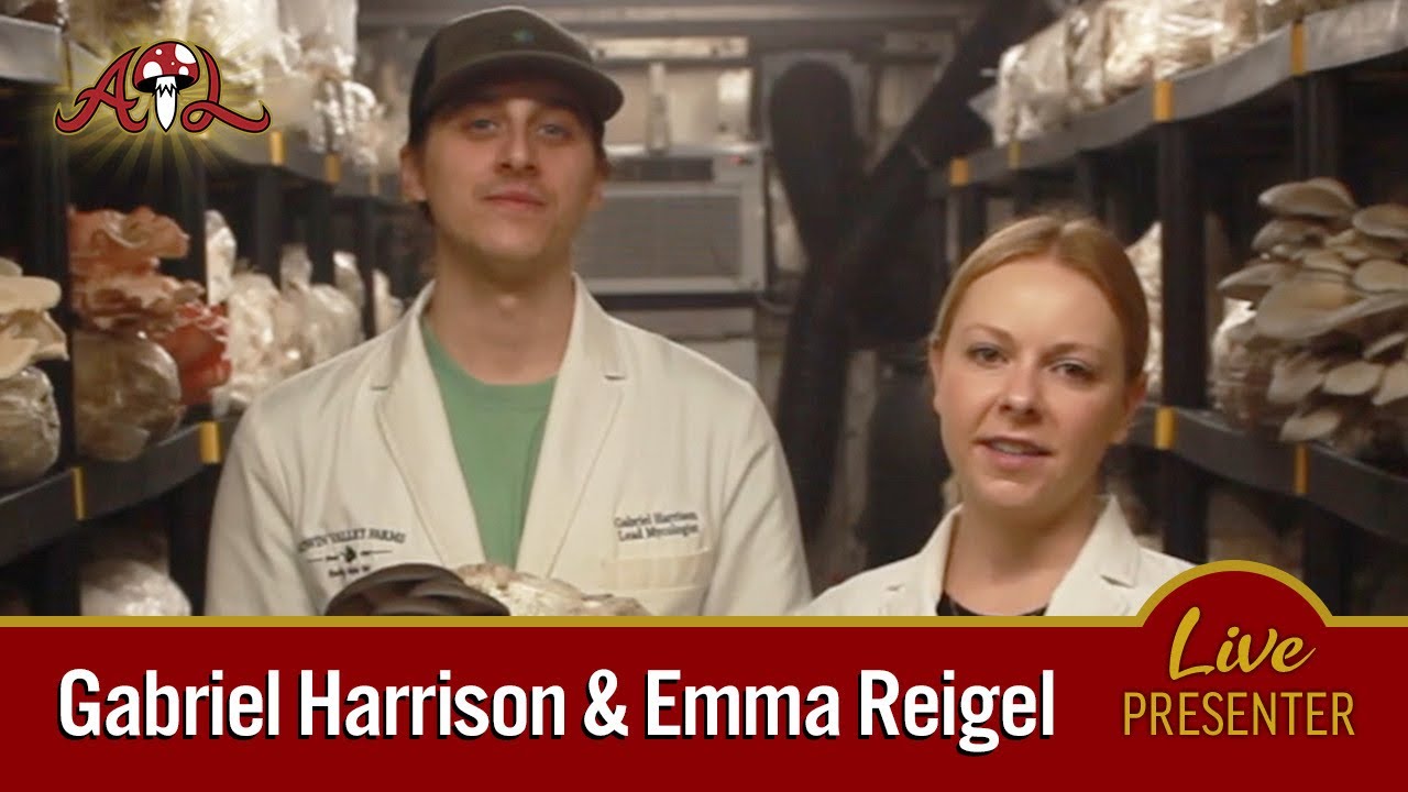 Farming for the Future: Innovating Mushroom Cultivation through Research and Education