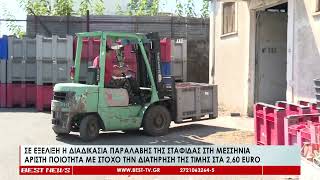 Σε εξέλιξη η διαδικασία παραλαβής της σταφίδας στη Μεσσηνία   Άριστη ποιότητα με στόχο την διατήρηση