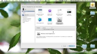Beginning iOS Development: Windows, Views, and View Controllers