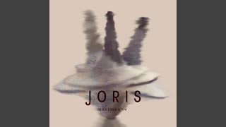 Herz über Kopf - JORIS