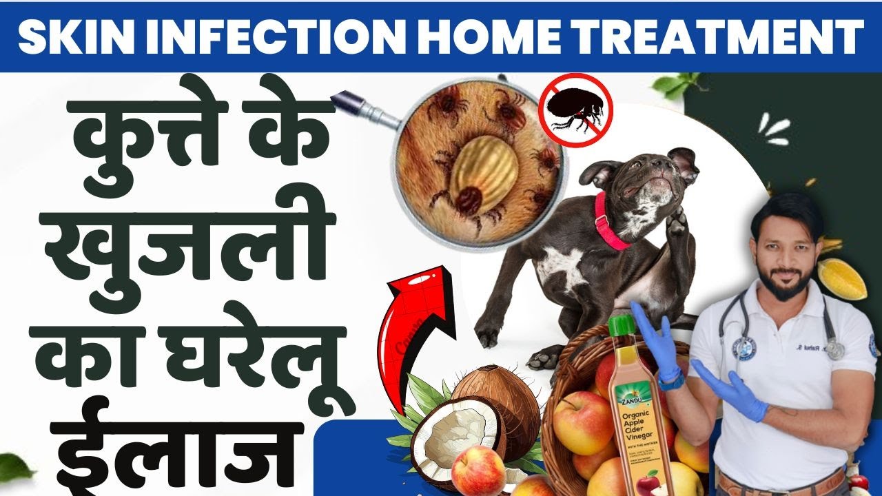 कुत्तो मे खुज्ली का घरेलू इलाज दवा Dog Ki Khujli Ka Ilaj Dog Skin