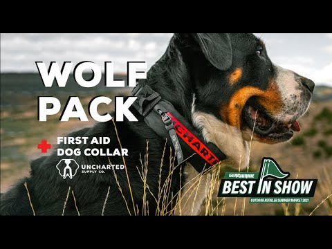 Introducing The Wolf Pack: The First Aid Collar for Dogs